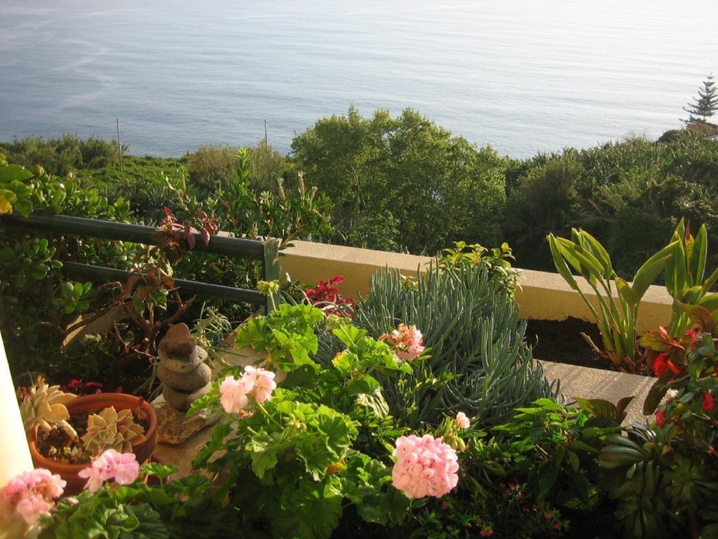 Apartamento Do Sol Arco da Calheta  Extérieur photo
