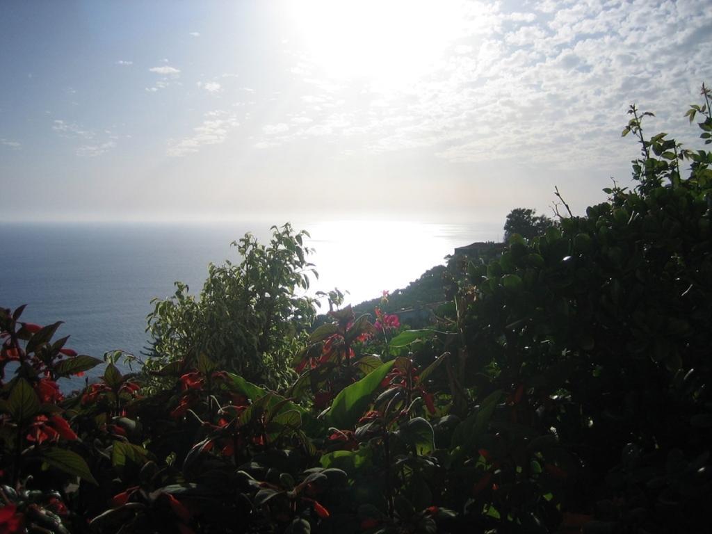 Apartamento Do Sol Arco da Calheta  Extérieur photo